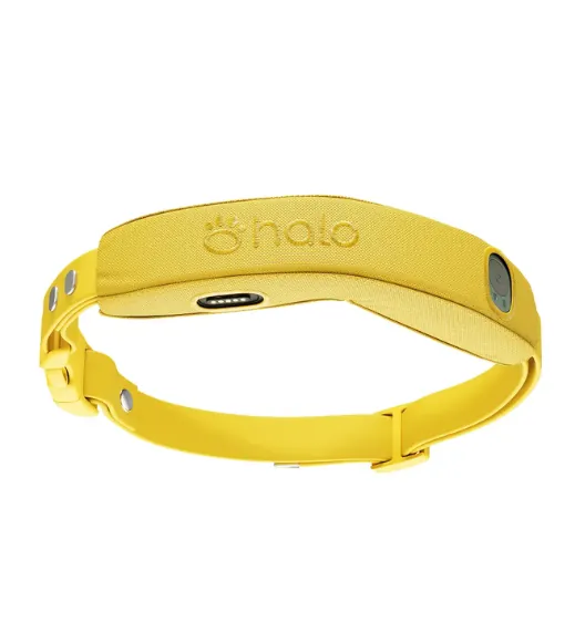 Halo Collar 5 GPS Dog Fence